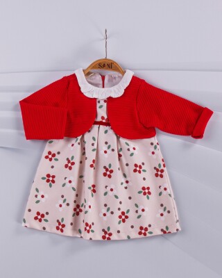 Wholesale 2-Piece Baby Girl Set With Dress 9-24M Sani 1068-6887 Red