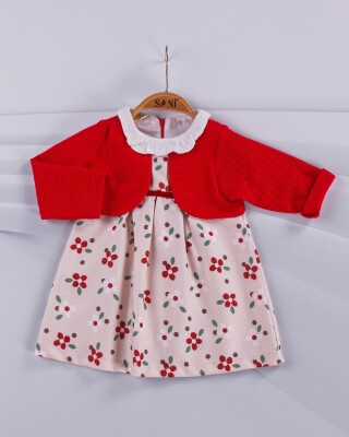 Wholesale 2-Piece Baby Girl Set With Dress 9-24M Sani 1068-6887 - Sani