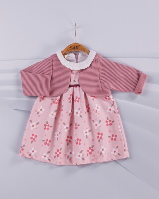 Wholesale 2-Piece Baby Girl Set With Dress 9-24M Sani 1068-6887 - Sani (1)