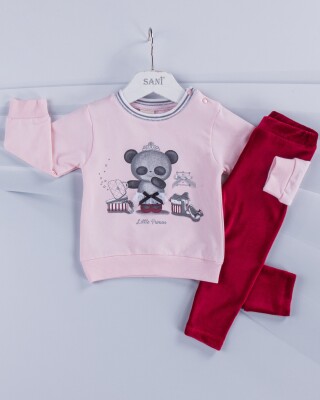 Wholesale 2-Piece Baby Girls Set with Sweat and Pants 9-24M Sani 1068-6911 Light Pink