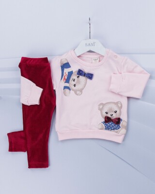 Wholesale 2-Piece Baby Girls Set with Sweat and Pants 9-24M Sani 1068-6918 - Sani