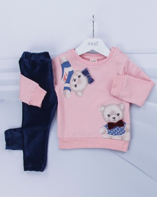 Wholesale 2-Piece Baby Girls Set with Sweat and Pants 9-24M Sani 1068-6918 Pink