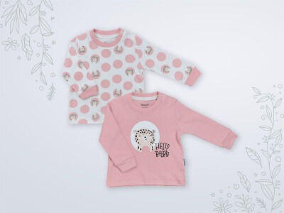 Wholesale 2-Piece Baby Sweatshirt Set 3-18M Miniworld 1003-16467 Dusty Rose