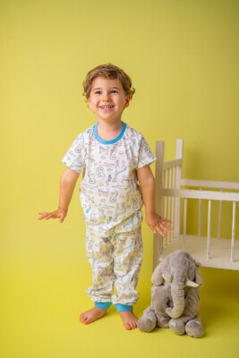 Wholesale 2-Piece Boys Pajamas Set 1-4Y Zeyland 1070-211Z1PJM05 - Zeyland
