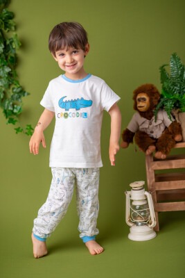 Wholesale 2-Piece Boys Pajamas Set 1-4Y Zeyland 1070-211Z1PJM06 - Zeyland