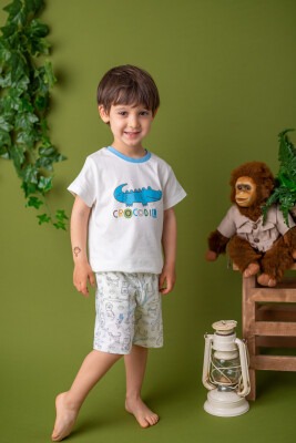 Wholesale 2-Piece Boys Pajamas Set 1-4Y Zeyland 1070-211Z1PJM07 - Zeyland