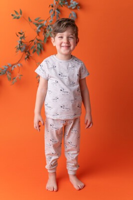 Wholesale 2-Piece Boys Pajamas Set with Zebra Printed 1-4Y Zeyland 1070-211Z1PJM08 - Zeyland
