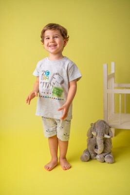 Wholesale 2-Piece Boys Pajamas Set with Zebra Printed 1-4Y Zeyland 1070-211Z1PJM10 - Zeyland