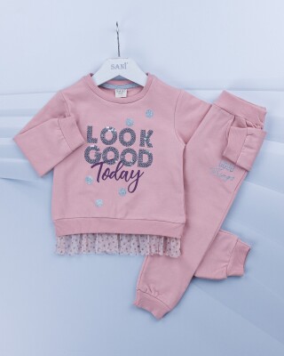 Wholesale 2-Piece Girls Set with Swet and Sweatpants 1-4Y Sani 1068-4581-1 Pink