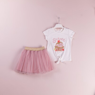 Wholesale 2-Piece Girls Skirt and T-shirt 1-4Y BabyRose 1002-4145 Dusty Rose