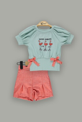 Wholesale 2-Piece Girls T-shirt and Shorts 2-5Y Kumru Bebe 1075-3941 Mint Green 