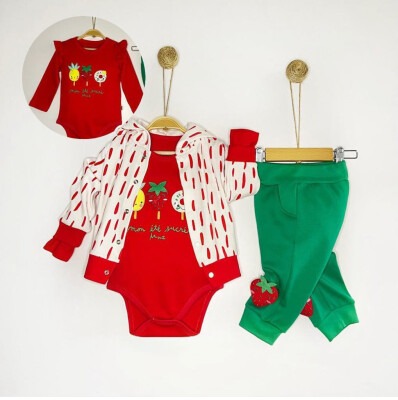 Wholesale 3-Piece Baby Girls Jacket Bodysuit and Pants 6-12M Minizeyn 2014-8007 Red