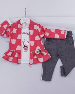 Wholesale 3-Piece Girls Set with Cardigan, Long Sleeve T-shirt and Pants 9-24M Sani 1068-6886 Fuschia