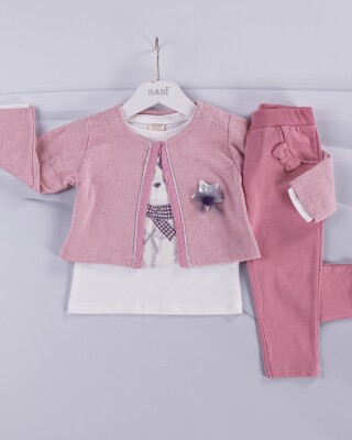 Wholesale 3-Piece Girls Set with Jacket, Long Sleeve T-shirt and Pants 1-4Y Sani 1068-4481 Pink
