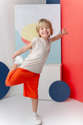 Wholesale Baby 2-Piece Set with T-shirt and Shorts 1-14Y Zeyland 1070-251Z3SRF73 Stone