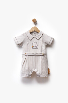Wholesale Baby Boy Jumpsuit 3-9M Bebbemini 2065-BM-2396 Gray