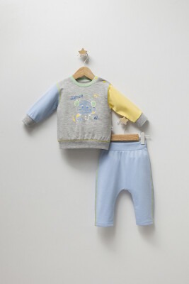 Wholesale Baby Boys 2-Piece Sweatshirt and Pants Set 6-24M Tongs 1028-4854 Blue