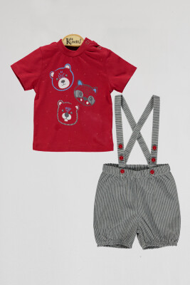 Wholesale Baby Boys 2-Piece T-Shirt and Shorts Set 6-18M Kumru Bebe 1075-4093 - Kumru Bebe