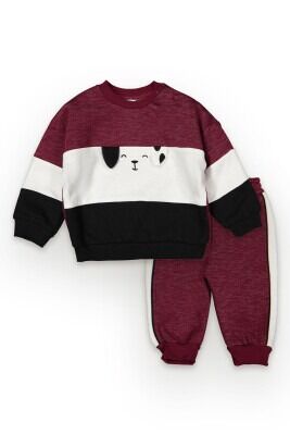 Wholesale Baby Boys 2-Piece Tracksuit Set 6-18M Tuffy 1099-6711 - Tuffy (1)