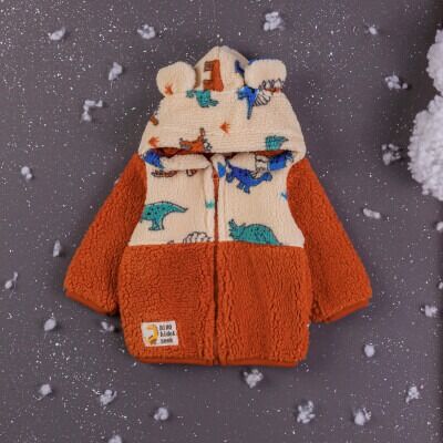 Wholesale Baby Boys Cardigan With Hoodie 6-24M BabyZ 1097-4758 Tile Red 