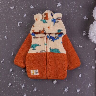 Wholesale Baby Boys Cardigan With Hoodie 6-24M BabyZ 1097-4758 - BabyZ (1)