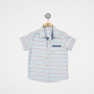 Wholesale Baby Boys Striped Shirt 6-24M Timo 1018-TEDÜ012234451 Mint Green2