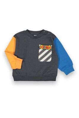 Wholesale Baby Boys Sweat 6-18M Tuffy 1099-214 - Tuffy (1)