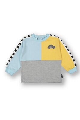 Wholesale Baby Boys Sweatshirt 6-18M Tuffy 1099-7011 Ice blue