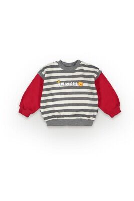 Wholesale Baby Boys Sweatshirt 6-18M Tuffy 1099-7020 Red
