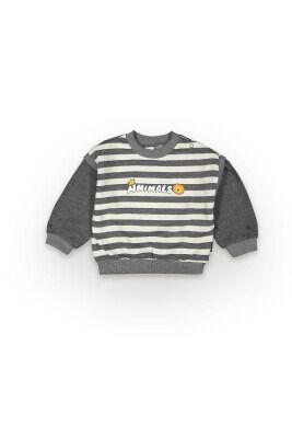 Wholesale Baby Boys Sweatshirt 6-18M Tuffy 1099-7020 Dark gray