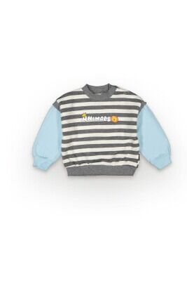 Wholesale Baby Boys Sweatshirt 6-18M Tuffy 1099-7020 Ice blue