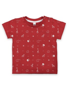 Wholesale Baby Boys T-shirt 6-18M Difa 1078-17009 - Difa (1)