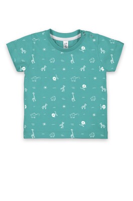 Wholesale Baby Boys T-shirt 6-18M Difa 1078-17009 Green Almond3