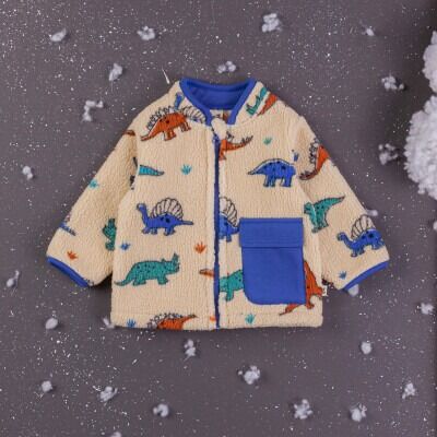 Wholesale Baby Boys Welsoft Cardigan 6-24M BabyZ 1097-4764 Saxe