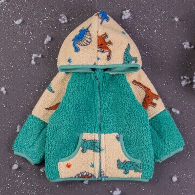 Wholesale Baby Boys Welsoft Cardigan With Hoodie 6-24M BabyZ 1097-4753 - BabyZ