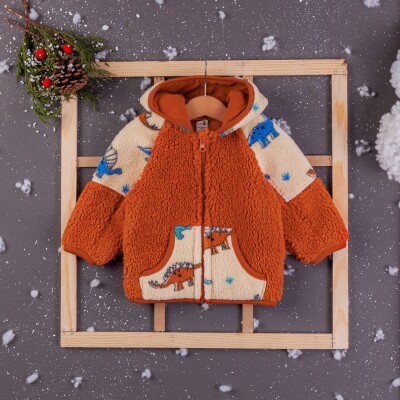 Wholesale Baby Boys Welsoft Cardigan With Hoodie 6-24M BabyZ 1097-4753 Tile Red 