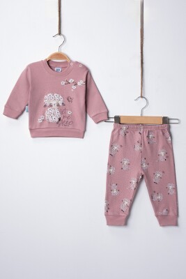 Wholesale Baby Girl Lamb Printed Pajama Set 3-9M Hoppidik 2017-2392 Dusty Rose