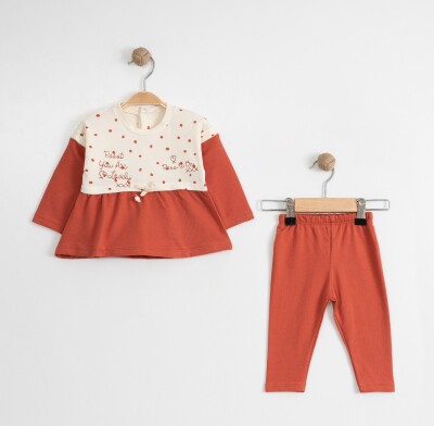 Wholesale Baby Girls 2-Piece Blouse and Leggings Set 9-24M Tofigo 2013-9018 Cinnamon Color