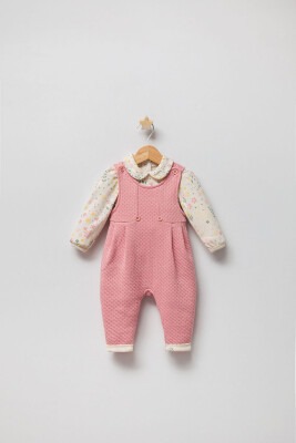 Wholesale Baby Girls 2-Piece Jumpsuit and Long Sleeve T-Shirt Set 3-9M Tongs 1028-5037 - Tongs