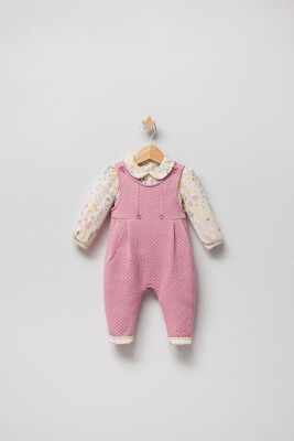 Wholesale Baby Girls 2-Piece Jumpsuit and Long Sleeve T-Shirt Set 3-9M Tongs 1028-5037 Dusty Rose