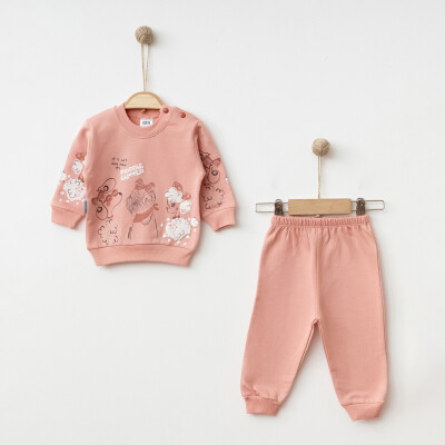 Wholesale Baby Girls 2-Piece Set 3-9M Hoppidik 2017-2367 Dusty Rose