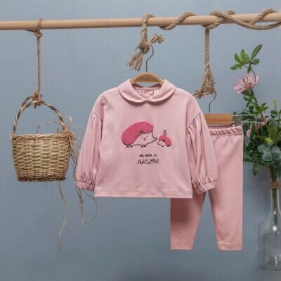Wholesale Baby Girls 2-Piece Set 6-24M BabyZ 1097-5754 - BabyZ