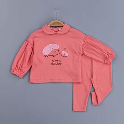 Wholesale Baby Girls 2-Piece Set 6-24M BabyZ 1097-5754 - BabyZ (1)