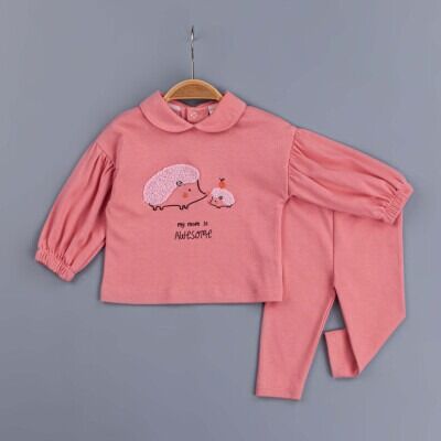 Wholesale Baby Girls 2-Piece Set 6-24M BabyZ 1097-5754 Dusty Rose