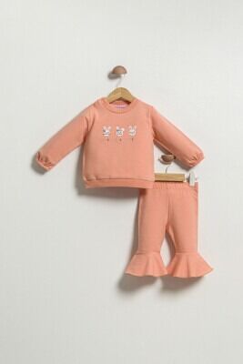 Wholesale Baby Girls 2-Piece Tracksuit Set 6-18M 1099-508 pinkish orange