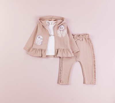 Wholesale Baby Girls 2-Piece Tracksuit Set 6-18M BabyRose 1002-7736 - Babyrose (1)