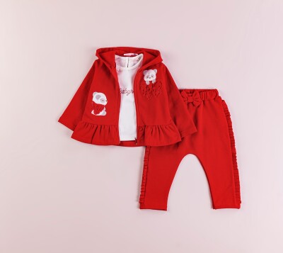 Wholesale Baby Girls 2-Piece Tracksuit Set 6-18M BabyRose 1002-7736 Red