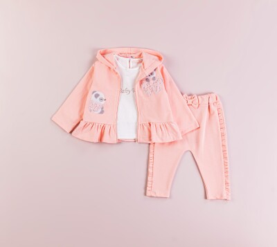 Wholesale Baby Girls 2-Piece Tracksuit Set 6-18M BabyRose 1002-7736 Salmon Color 