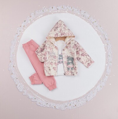 Wholesale Baby Girls 2-Piece Tracksuit Set 9-24M BabyRose 1002-7725 - Babyrose