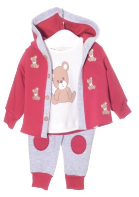 Wholesale Baby Girls 3-Piece Tracksuit Set 3-24M Serkon Baby&Kids 1084-M0395 - Serkon Baby&Kids (1)